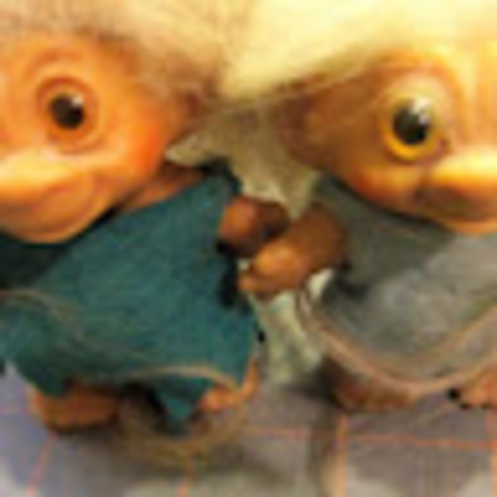 Meet your Posher, Lee and roy